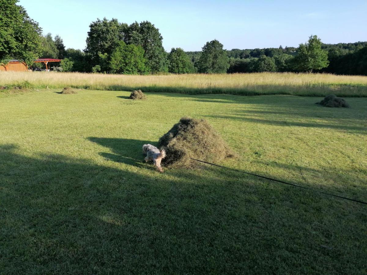 ホテル Orban Porta Szalafő エクステリア 写真